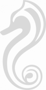 Isabel Abdo Shoes Favicon